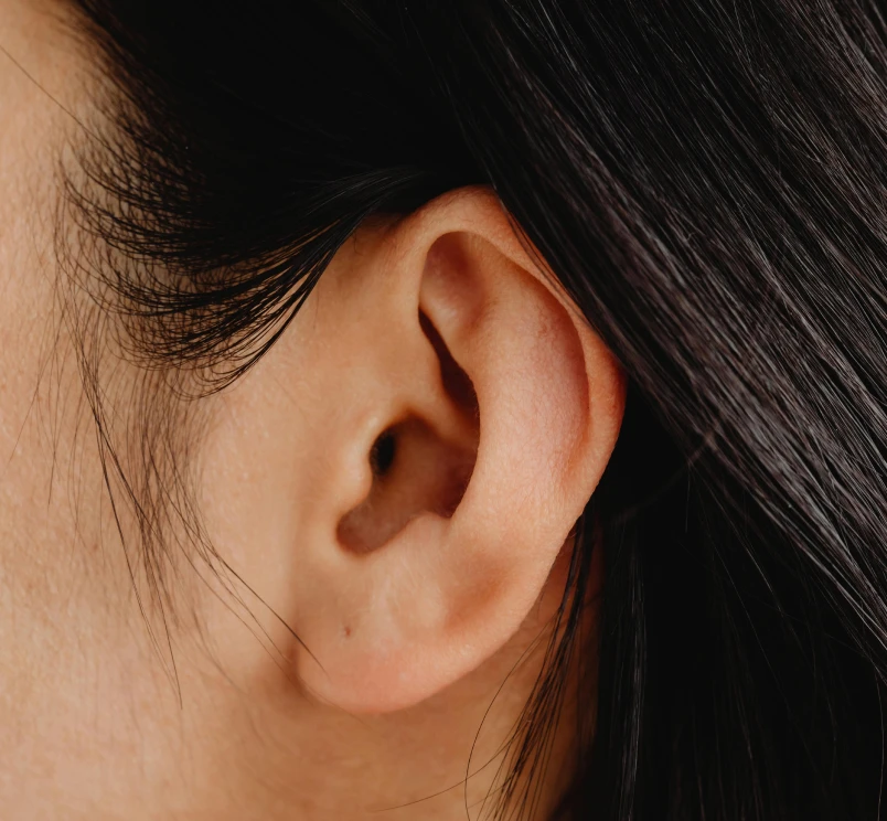 Earlobe Repair